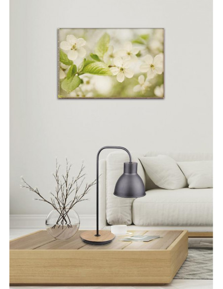 CANDELLUX VARIO LAMPKA GABINETOWA 1X60W E27 CZARNY 41-73488