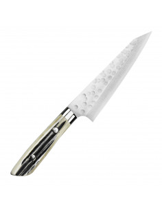 Takeshi Saji SRS-13 Nóż uniwersalny 13 cm