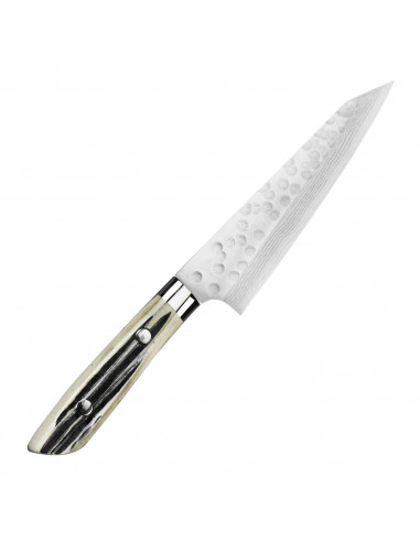 Takeshi Saji SRS-13 Nóż uniwersalny 13 cm