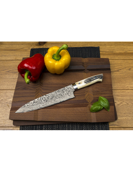 Takeshi Saji WBB Ręcznie kuty nóż Szefa 24cm R-2
