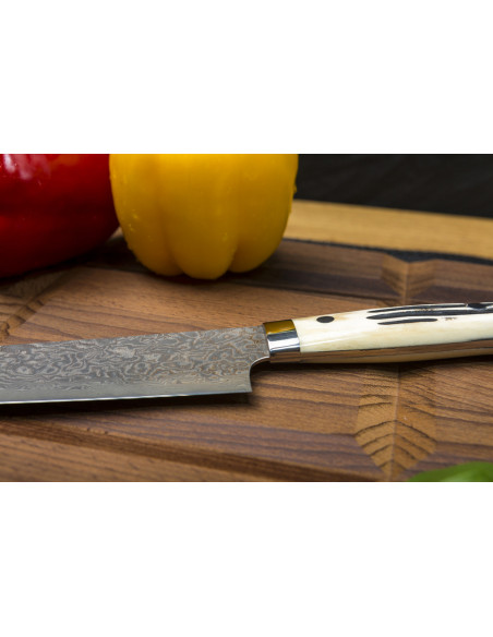 Takeshi Saji WBB Ręcznie kuty nóż Bunka 17cm R-2