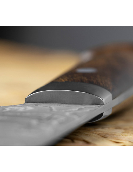 Takeshi Saji IW Ręcznie kuty nóż Bunka 17cm VG-10