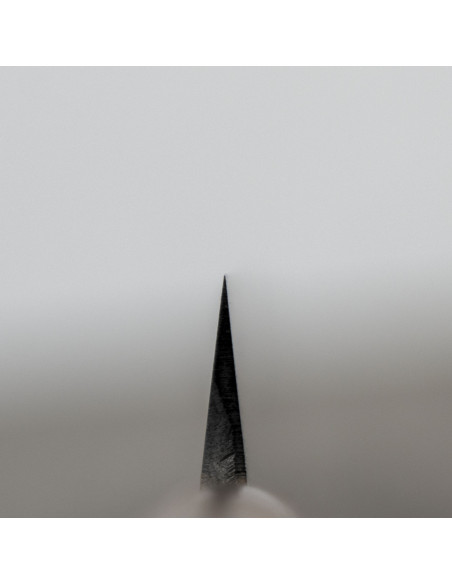Satake Cutlery Mfg Aogami2 PRO Nóż Sashimi Yanagiba 21 cm