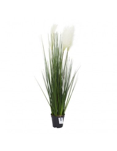 INTESI SZTUCZNA TRAWA PAMPASOWA ZIELONA